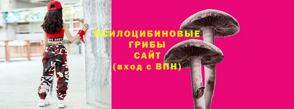 дмт Алзамай