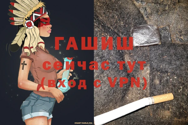 дмт Алзамай