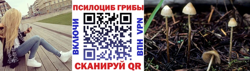 наркотики  Куйбышев  Псилоцибиновые грибы Magic Shrooms 