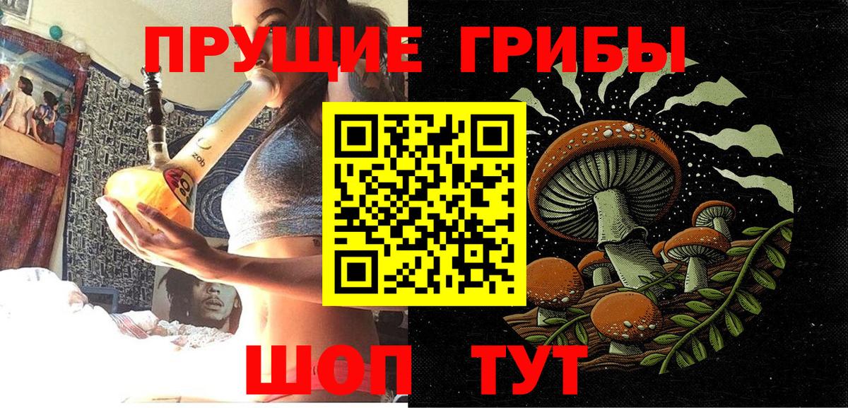 Галлюциногенные грибы MAGIC MUSHROOMS Куйбышев